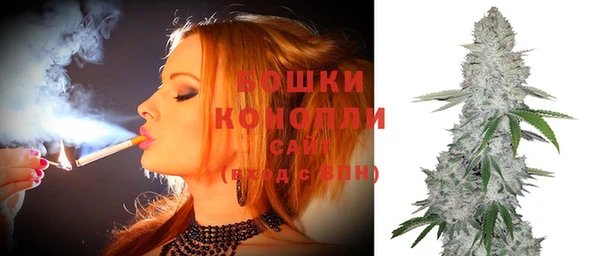 молекула духа Краснослободск