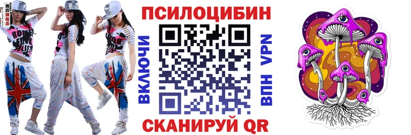 shop телеграм  Назрань  Псилоцибиновые грибы мухоморы 